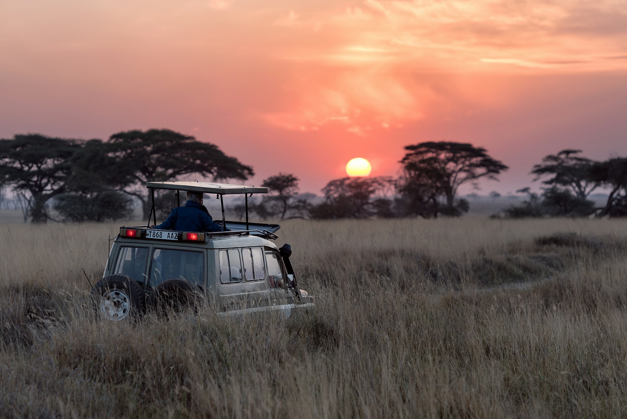 Safari vehicle crossing a golden grassland at sunset